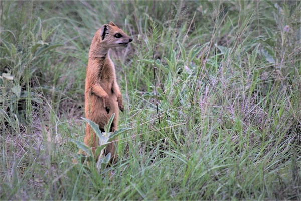 女儿生日妈妈的祝福语2026年 宝宝生日祝福语