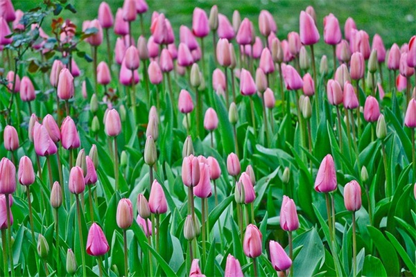 2026年中秋节快乐祝福语短信说说心情短语早安语