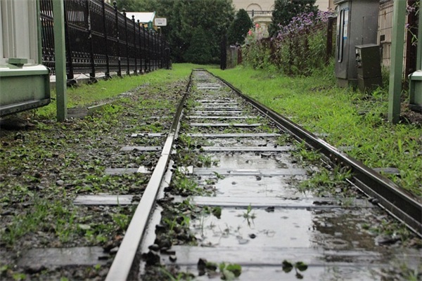 六月高考加油祝福语 对高考加油的祝福语