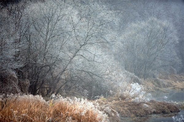 祝福语员工34句