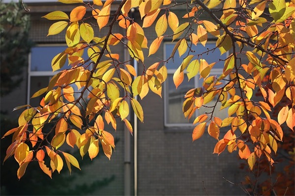 祝毕业生的励志祝福语 送给毕业生的励志诗句