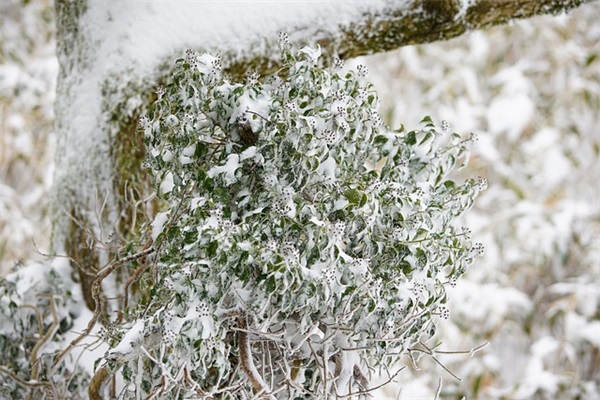 带俊 轩的情侣网名