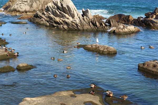 可爱女孩子的微信名字(313个)