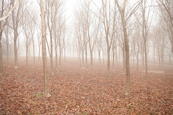 带余的两字情侣网名