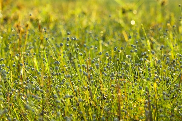 搞笑婚礼祝福语短语 搞笑的婚礼祝福语