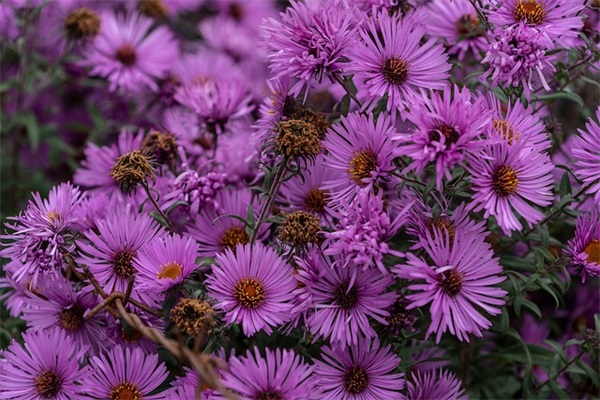 2026唱响我爱我的祖国爱国祝福经典语录 国庆节祝福说说寄语