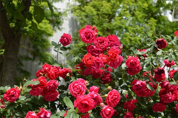 祝朋友生意兴隆祝福语 祝朋友生意好的祝福语