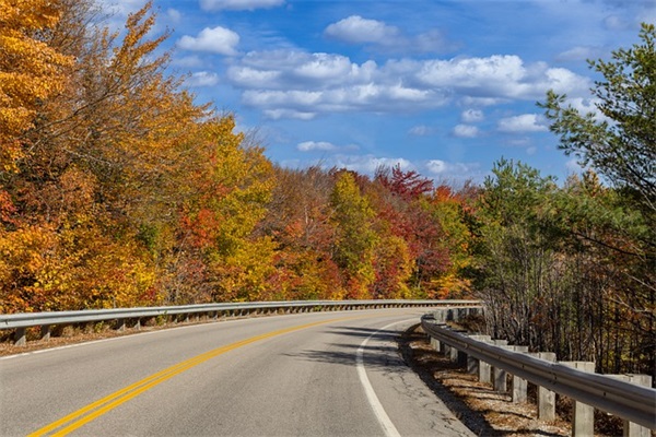 祝福新人结婚的话自然55句