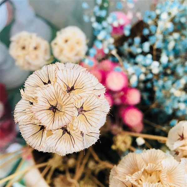 祝福一百多岁的老人健康长寿祝福语推荐精选