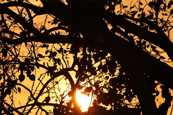 妈妈生日最贴心的话 妈妈生日快乐祝福语