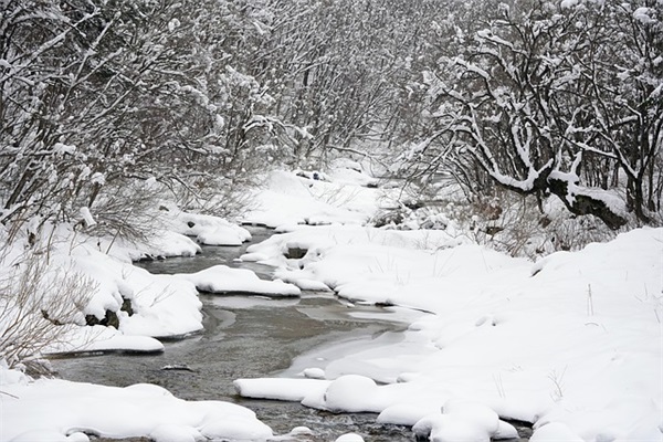 给五岁女孩的祝福语39句