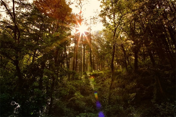 20岁生日快乐祝福语 20岁生日祝福语简短