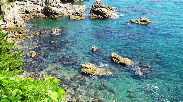 15岁男孩生日祝福语 15岁青少年生日祝福语