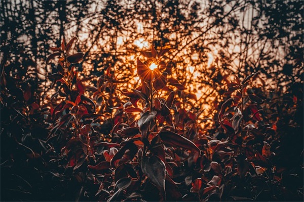 恋人生日祝福语英文