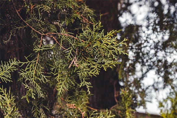 温馨的朋友生日祝福