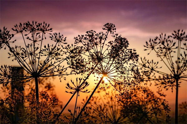 宝贝9岁生日祝福语40句