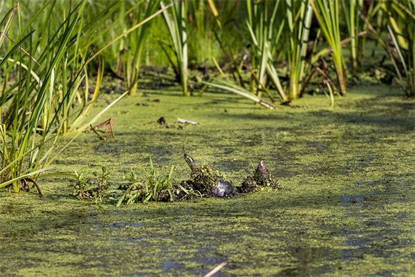 关于2025庆祝教师节真情实感的句子