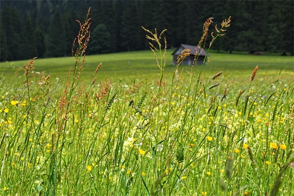 关于抖音最火闺蜜句子 闺蜜时光不老一段话