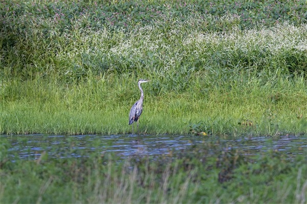 关于抖音最火闺蜜句子 2025年致闺蜜的句子
