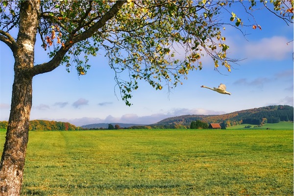 关于2025年精选奋斗正能量句子摘录90句