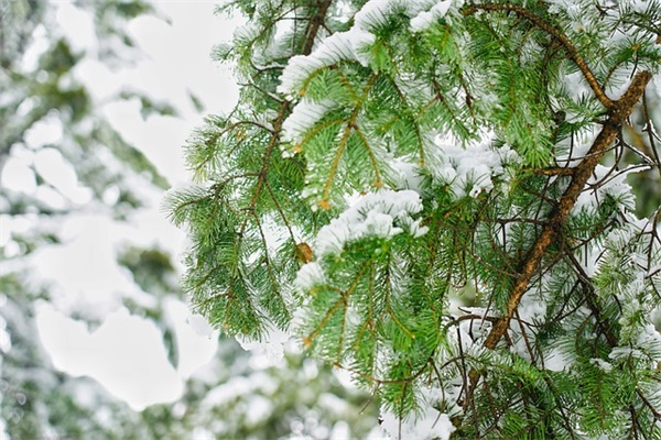 充满正能量早上好的句子(早上好正能量句子简短)