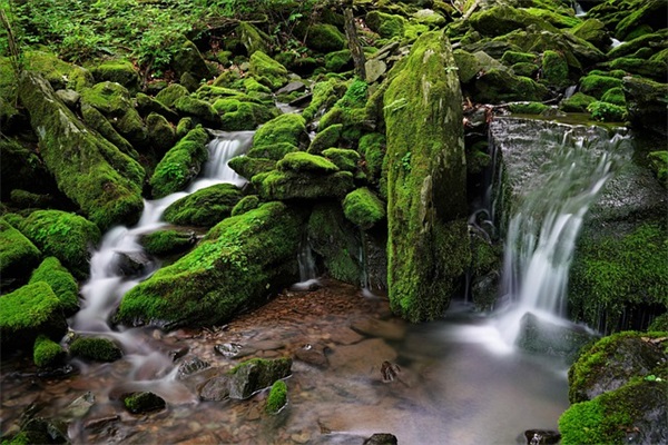 让心情平静的句子85句