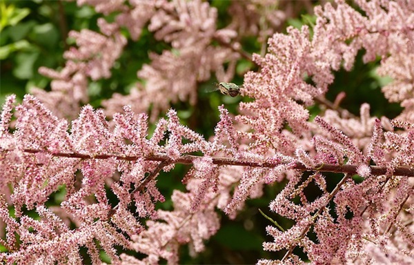 幸福开头的句子79句