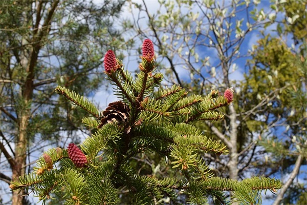 早安积极向上的句子(积极向上正能量的早安问候)
