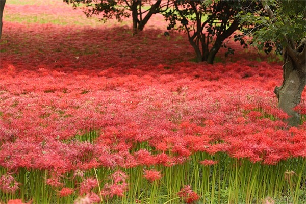 不在乎的句子82句