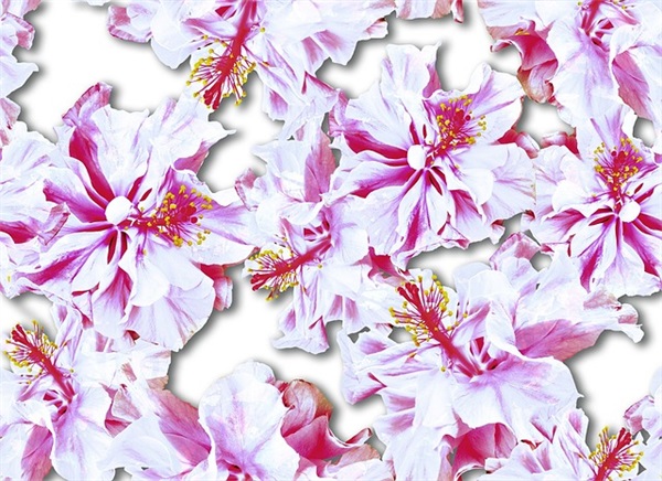 自己靠自己的句子有哪些 一定要靠自己的句子