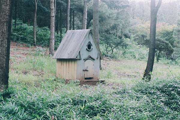 对爸爸表达爱的句子 对爸爸妈妈爱的句子