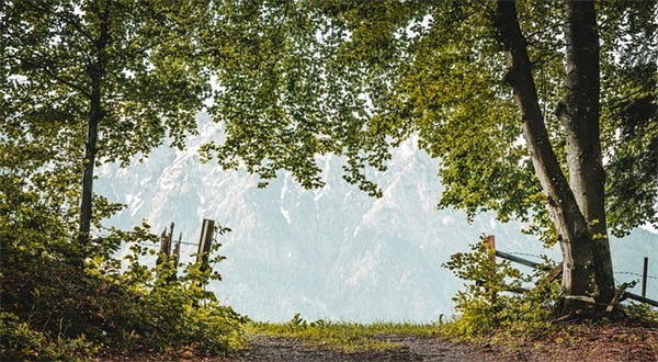 悲伤的句子越悲伤越好长句子