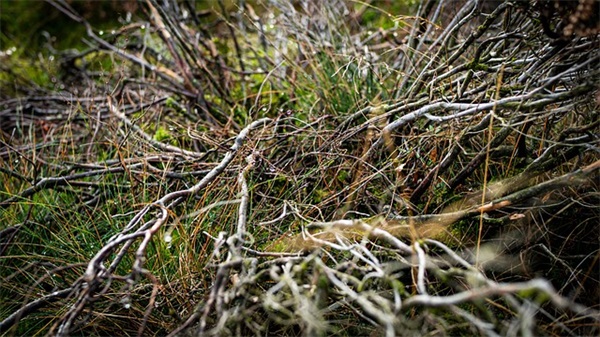 中式婚礼的结婚祝福短信