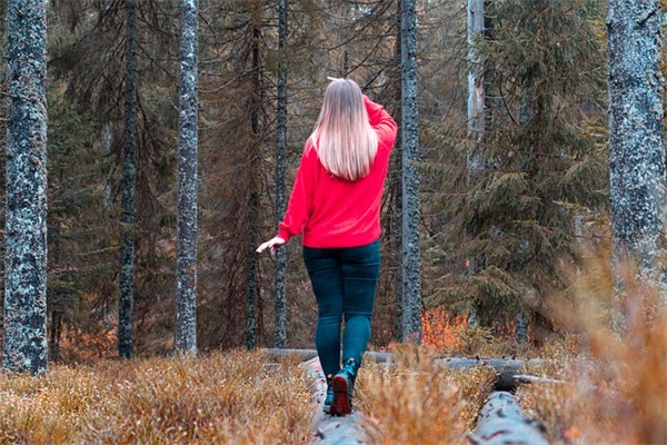 2026年祝福老人健康长寿的祝福语