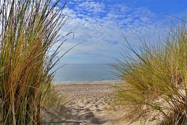 祝福语小学生毕业41句