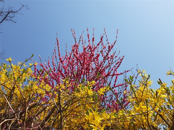 哥祝福妹妹结婚祝福语39句