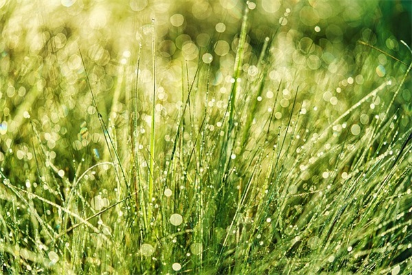 结婚祝福语诗词 高情商朋友结婚祝福语