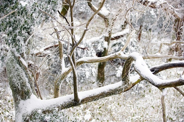 2026歌颂祖国70岁说说 祝福建国70周年语句大全