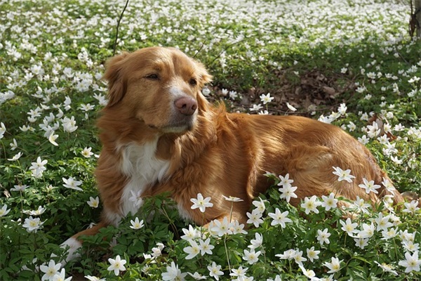 好朋友婚宴祝福寄语 好朋友结婚祝福语