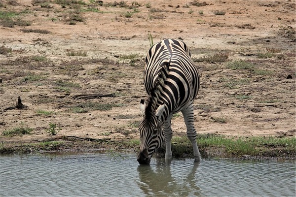 医护人员生日祝福语56句