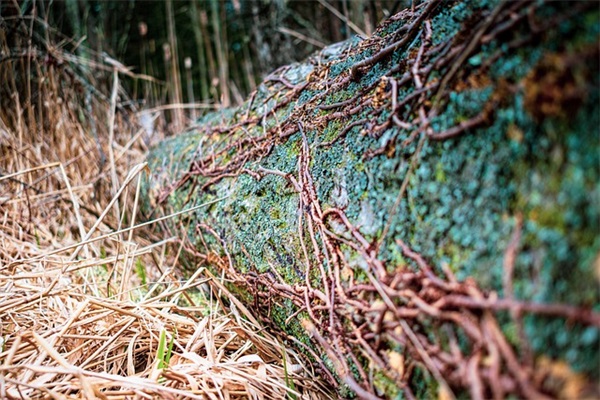 学生升学宴祝福语52句