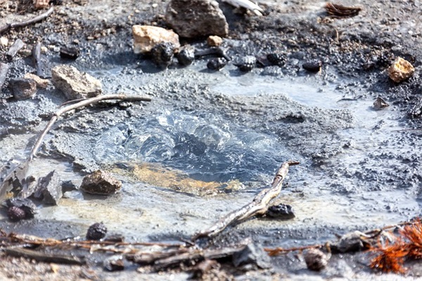 感人的2026祝福语长句 感人的婚礼祝福语