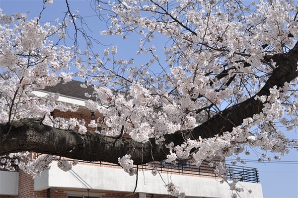 端午发送领导祝福短信47句