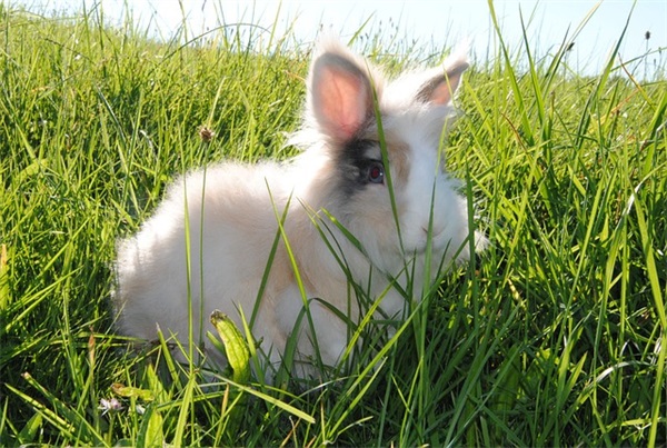 祝老师教师节快乐祝福语大全