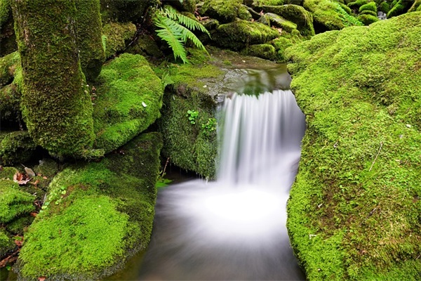 六十六简短祝福语 六十六大寿简短祝福语