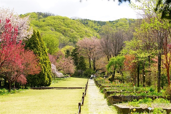 十岁男孩生日祝福语57句
