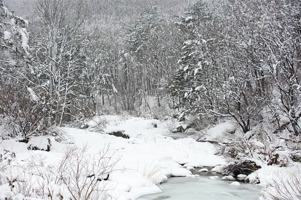 对出国留学的祝福语51句