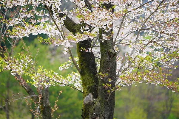 有关2026情人节搞笑的短信祝福语