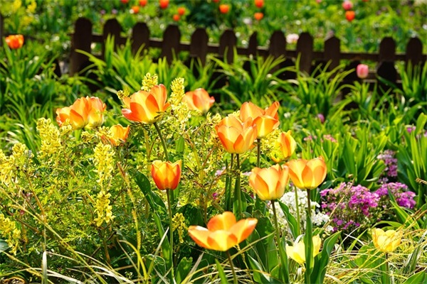 离职员工祝福语44句