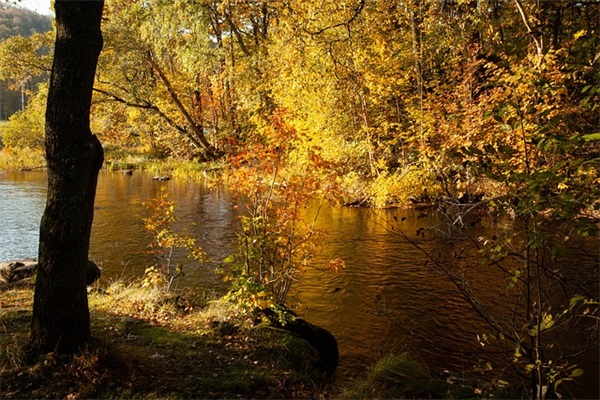 祝孩子考试前的祝福语57句